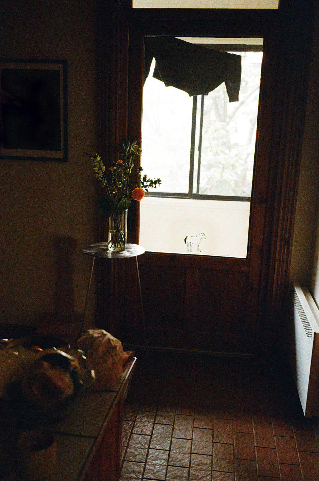 Mesitas_002_2023_Fomenta_PhotoByWilliamSabourin